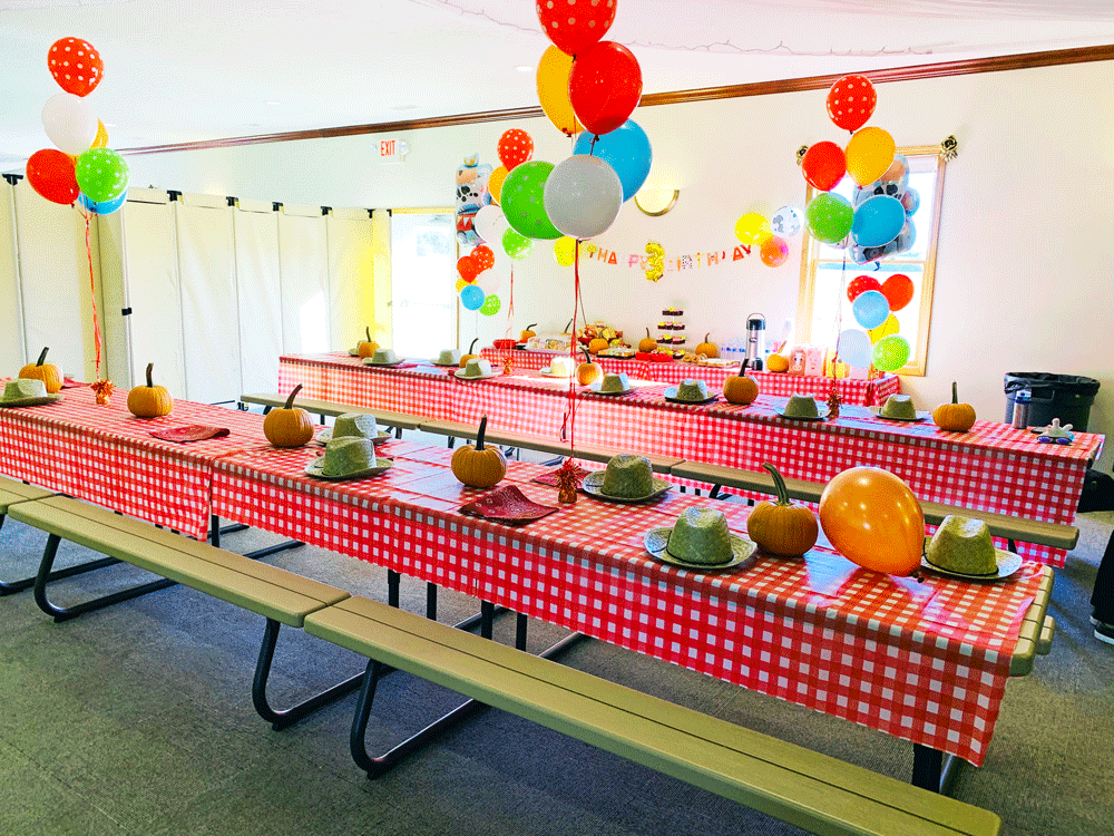 Tables set in Birthday Party Area example 2